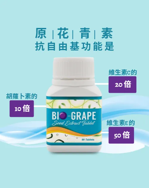 BIO-葡萄籽 傳單第2頁