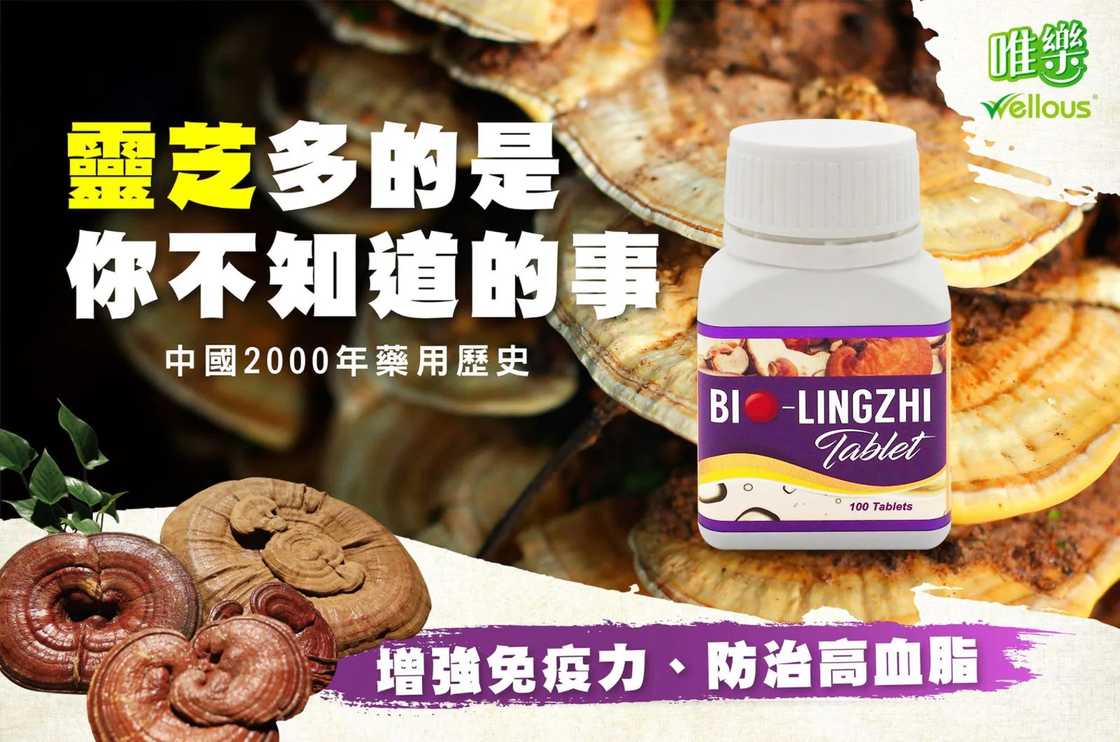 Bio-Lingzhi 傳單第1頁