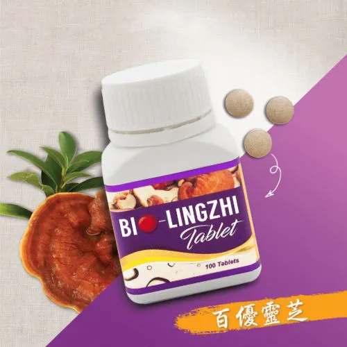Bio-Lingzhi 傳單第3頁