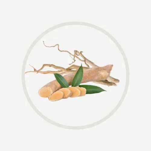 Erojan 傳單第7頁