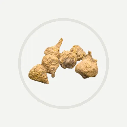 Erojan 傳單第8頁