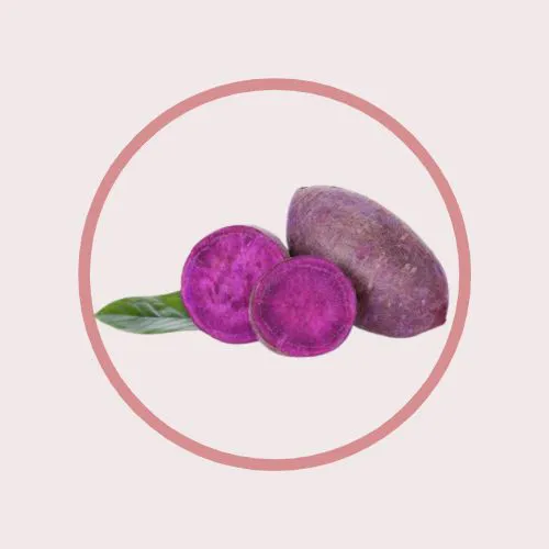 Evite 傳單第10頁