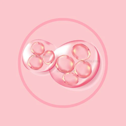 木槿花膠原蛋白肽