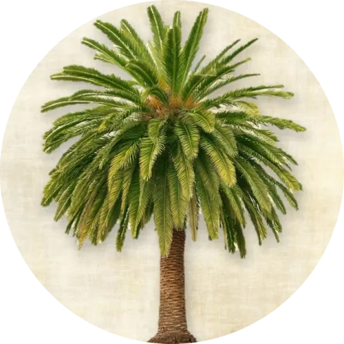 Frusso 傳單第7頁