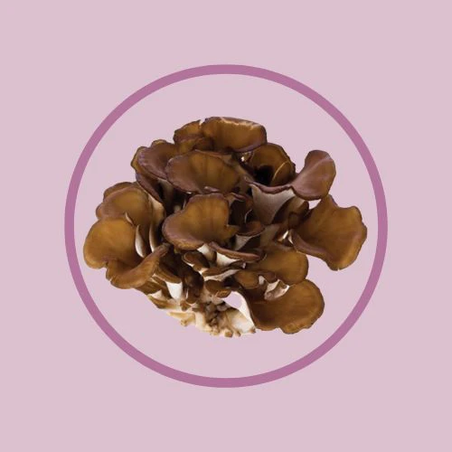 Imuglo Maitake Mushroom