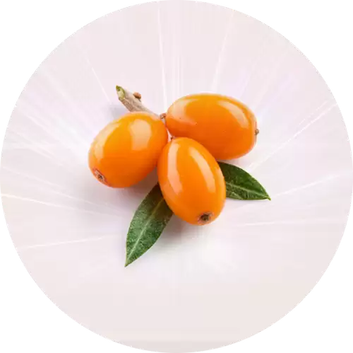 Liveon 成份 Puredia SeaBerry