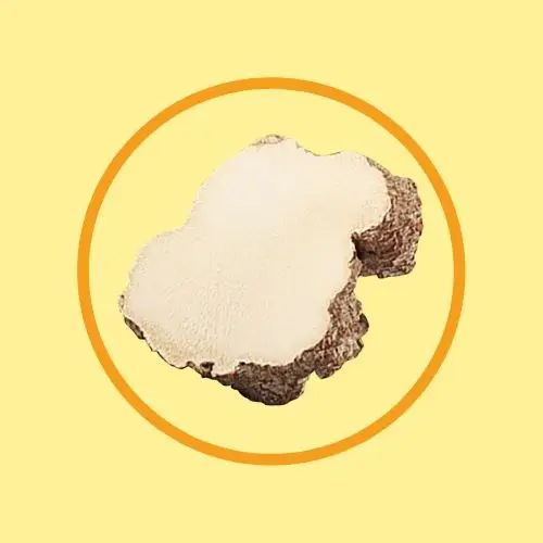 Tigrox 虎乳芝(枇杷) 傳單第4頁