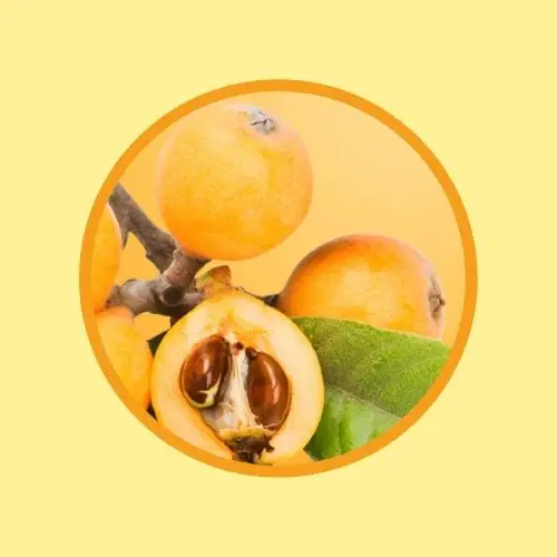 Tigrox 虎乳芝(枇杷) 傳單第5頁