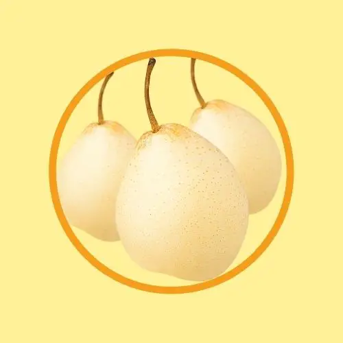 Tigrox 虎乳芝(枇杷) 傳單第6頁