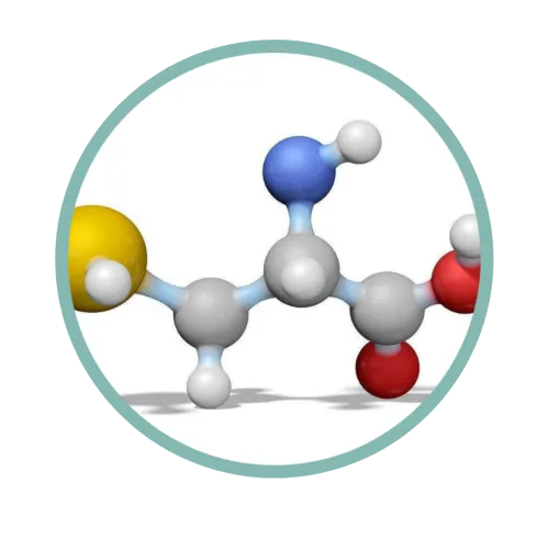 Sglow 傳單第10頁