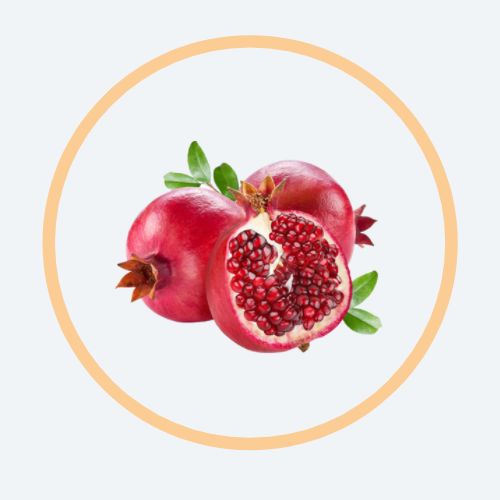 VIQUA® Pomegranate Extract Flyer Page 2