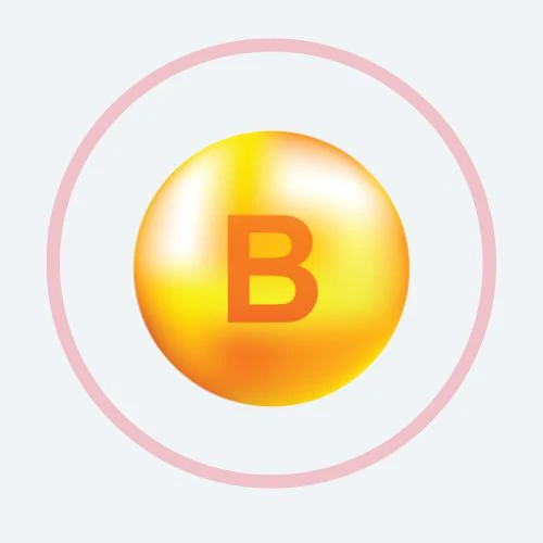 LYNSIDE® FORTE B 营养酵母维生素B群