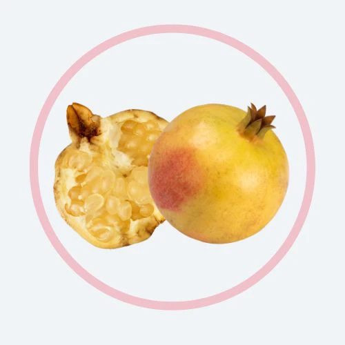 POMEWHITE® 白石榴提取物