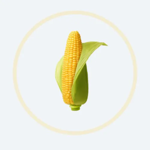 Fibersol-2