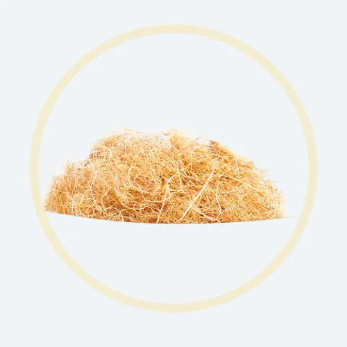 Palm Fiber