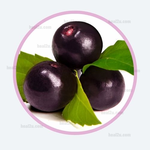 Acai Berry Extract