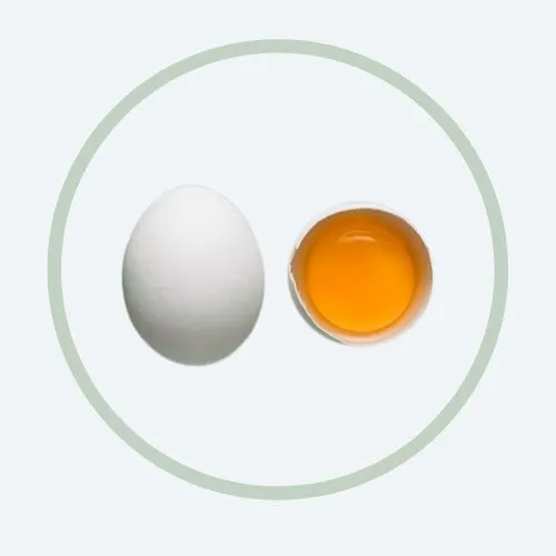 BonePep™ Hydrolysed Egg York Peptide