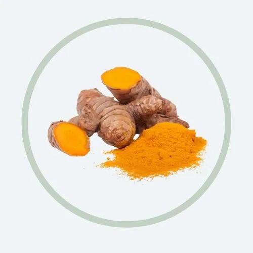 Turmeric Extract
