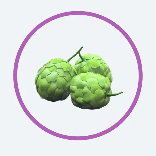 Hops Extract