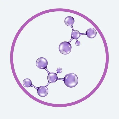 L-THEANINE