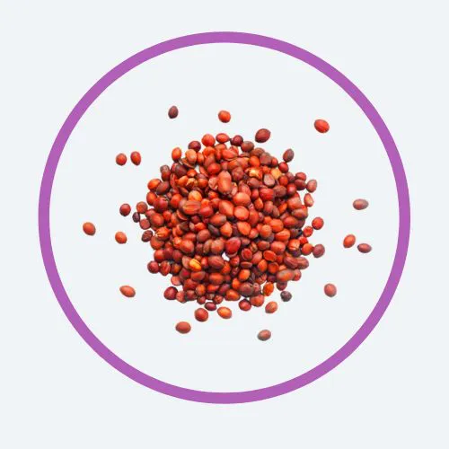 Sour Date Seed Extract
