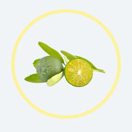 酸柑