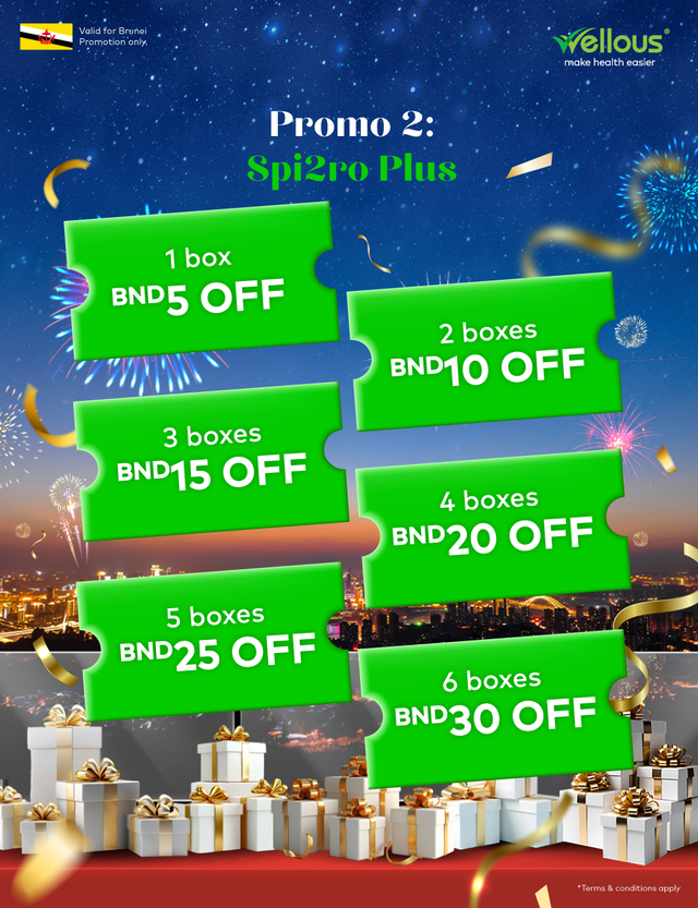 Brunei Year-end Promotion 2025