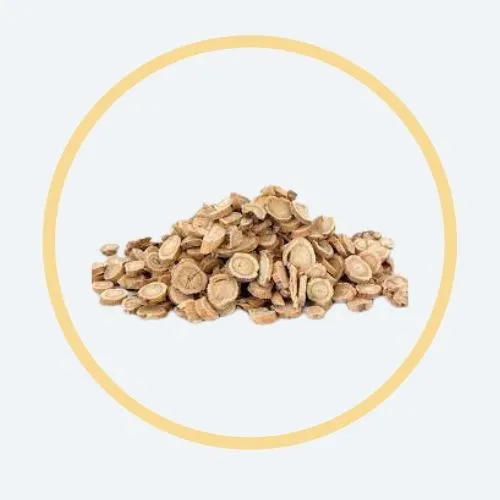 Astragulus Membranaceus Root Extract