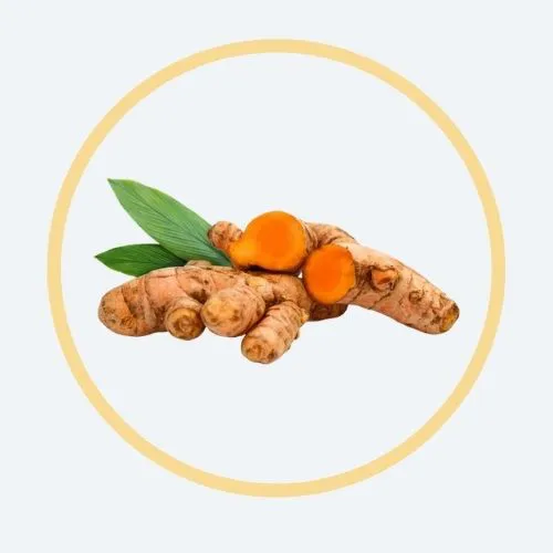 Turmeric Extract